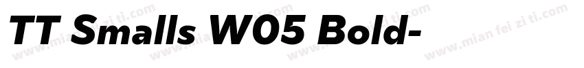 TT Smalls W05 Bold字体转换